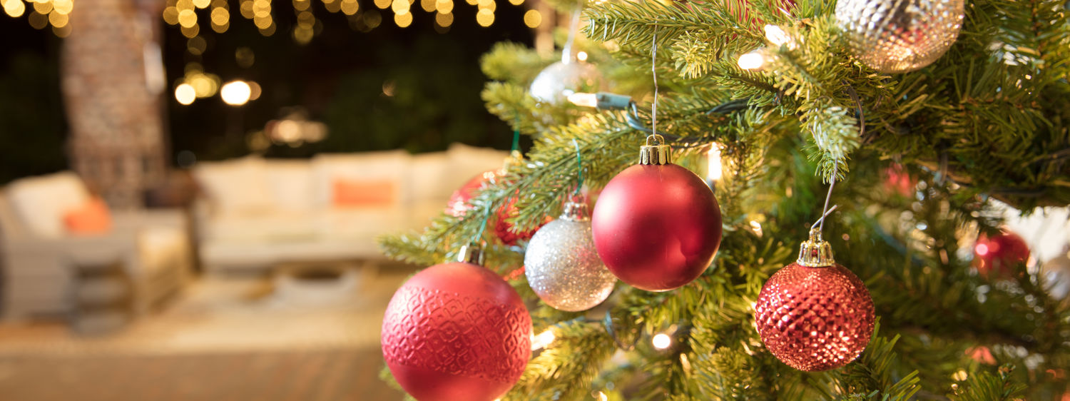 Festive Season