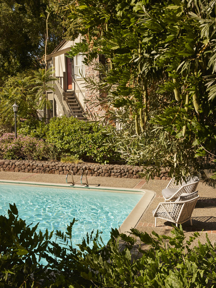 peeking at the pool through the bushes