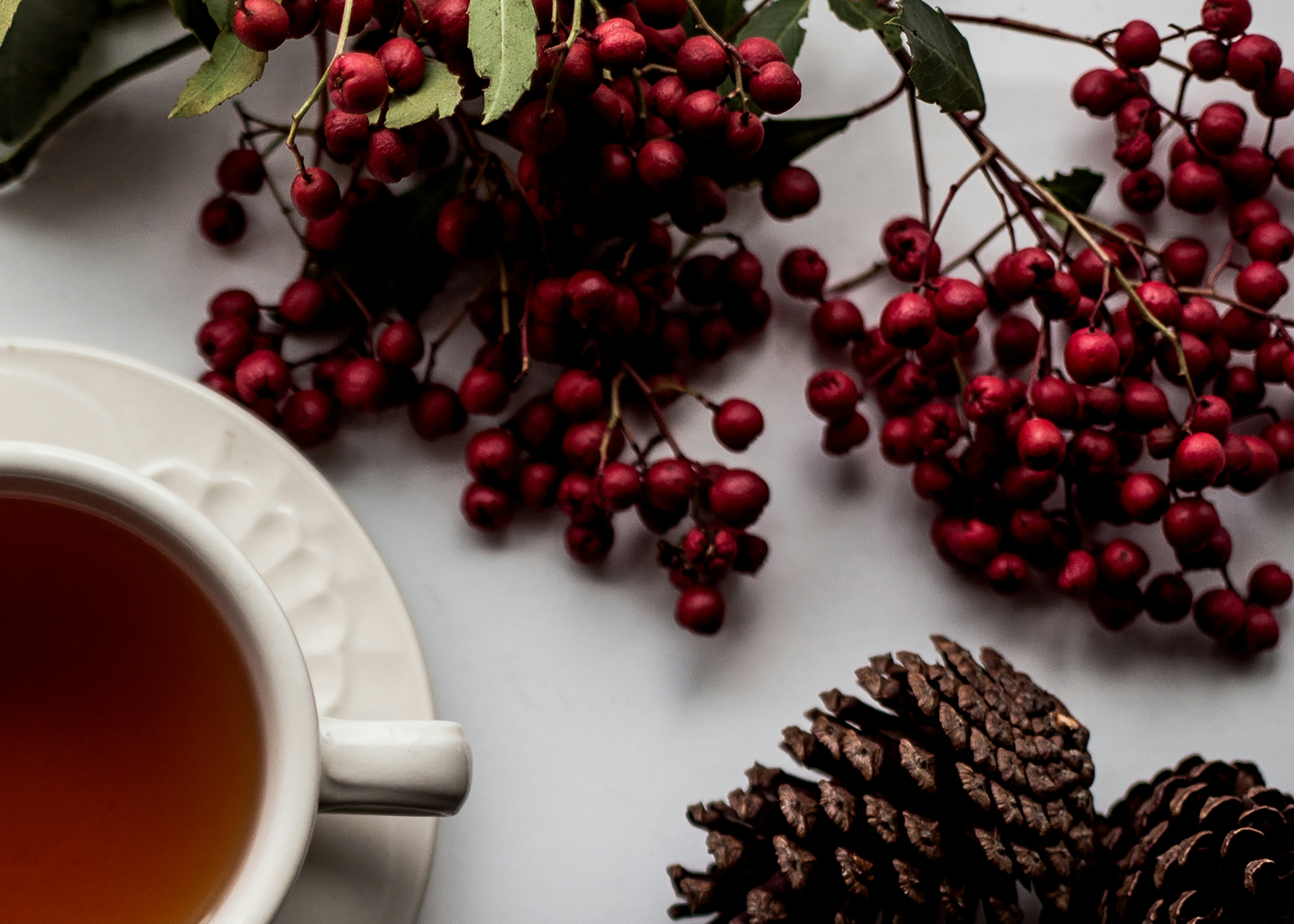 Holiday Tea