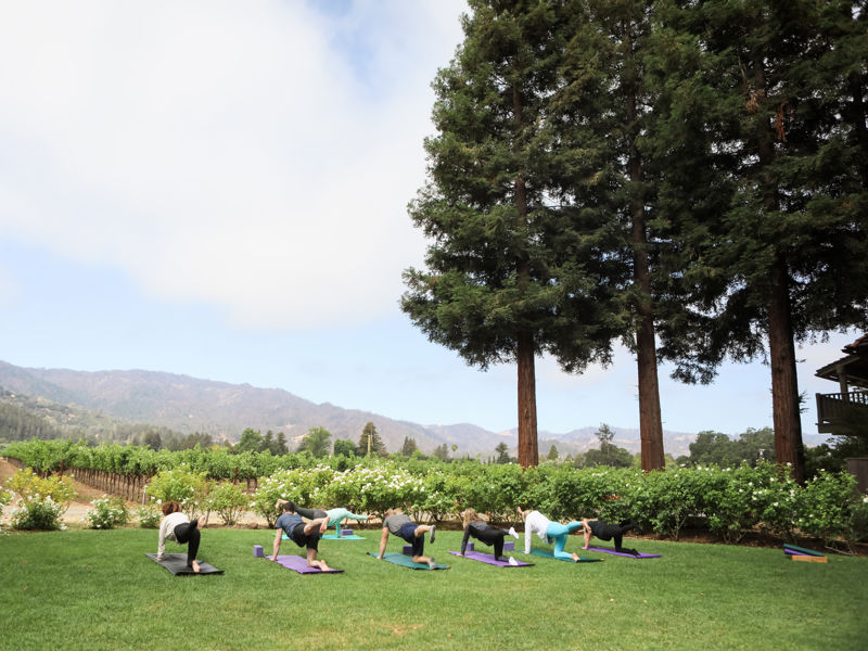 Group taking part in an outdoor yoga class on a lawn overlooking a vineyard and mountains.